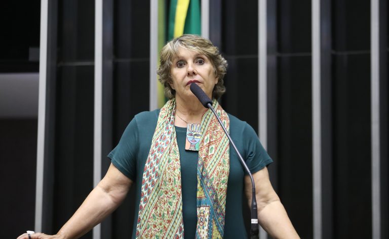 A bancada feminina da Câmara dos Deputados aprovou 61 projetos de lei desde o início dos trabalhos legislativos, em 2023. 43 já viraram leis. A nova legislação brasileira será destaque em futura reunião da Comissão da ONU sobre a Situação da Mulher (CSW)